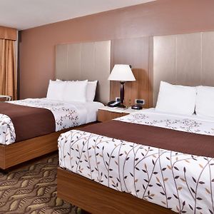 Top Floor Queen Room